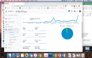 website design and development for travel